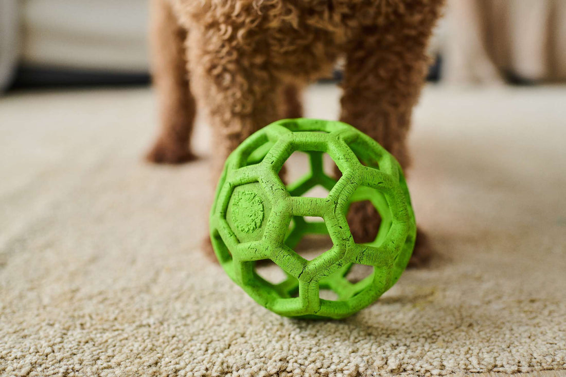 The Benefits of Interactive Toys for Mental Stimulation in Dogs